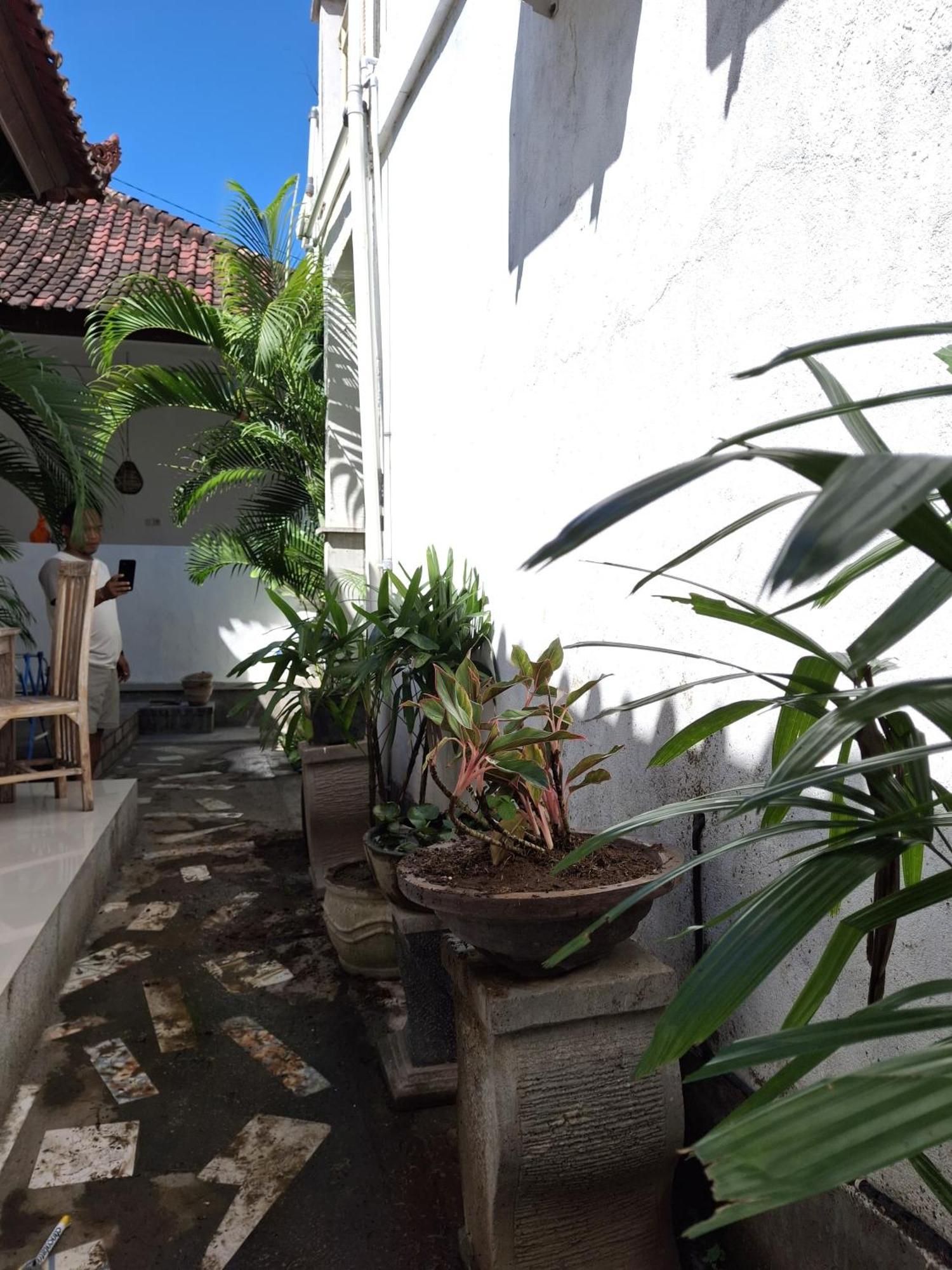 Adore Guesthouse آميدْ الغرفة الصورة
